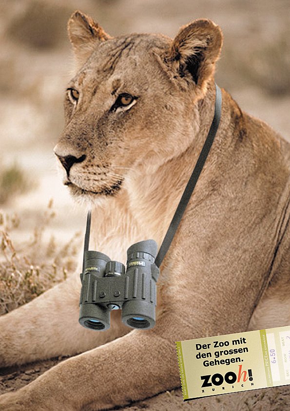 Photoshop Visualisierung "grosse Gehege"